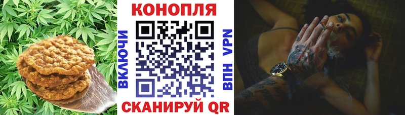 купить   Изобильный  ОМГ ОМГ как войти  Cannafood конопля 