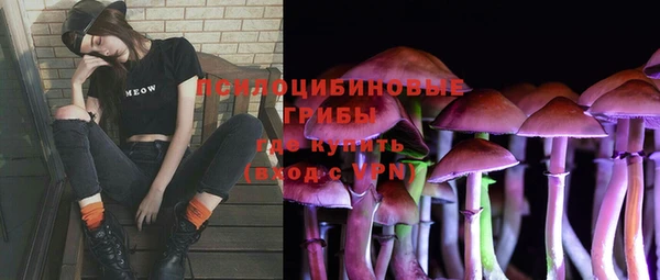 шишки Елабуга