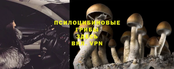 ешки Елизово