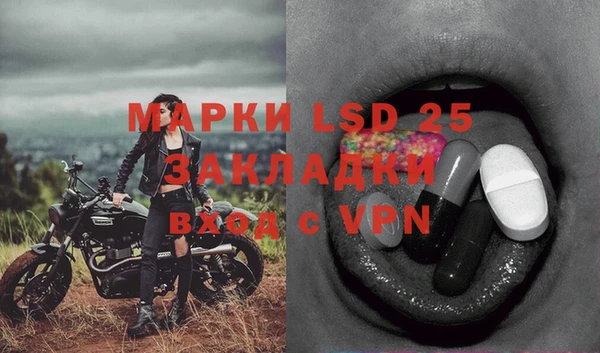 ешки Елизово