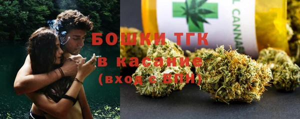 шишки Елабуга