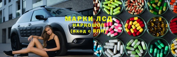 ALPHA PVP Ельня