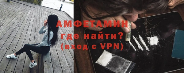 твердый Дмитров