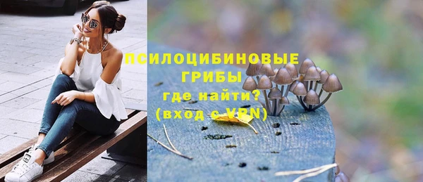 ALPHA PVP Ельня